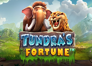 RTP Tundra's Fortune