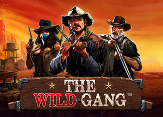 RTP The Wild Gang